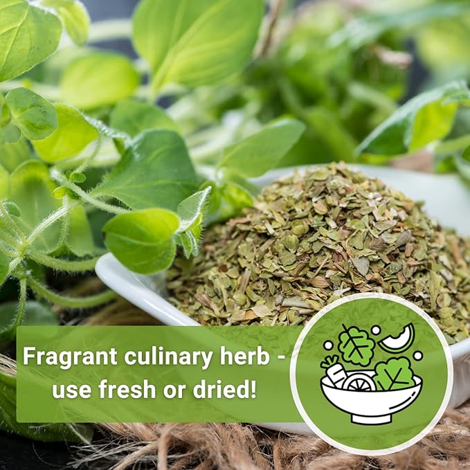 Sow Right Seeds - Oregano Seed for Planting - Non-GMO Heirloom- Instructions to Plant and Grow a Kitchen Herb Garden - Indoor or Outdoor - Gardening Gift - Produces Flavorful Leaves for Seasoning (1)