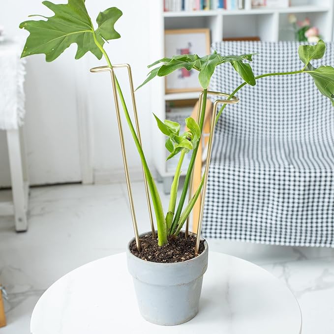 12-Inch Monstera Support - 10 Pack Medium Plant Support for Indoor and Outdoor Plants, Durable Stem Holder Trellis for Monstera and Spring Plant Stakes, Ideal for Home, Balcony, and Terrace