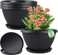 4 Pack 8 inch Plant Pots for Outdoor Indoor, Durable Flower Pots with Drainage, Indoor Outdoor Planters for Herbs Flowers (Black Pebbles Design)