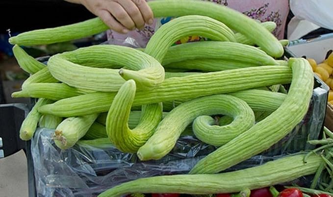 Seeds Vegetable Cucumber Armenian Heirloom for Pickling - 10 Seeds