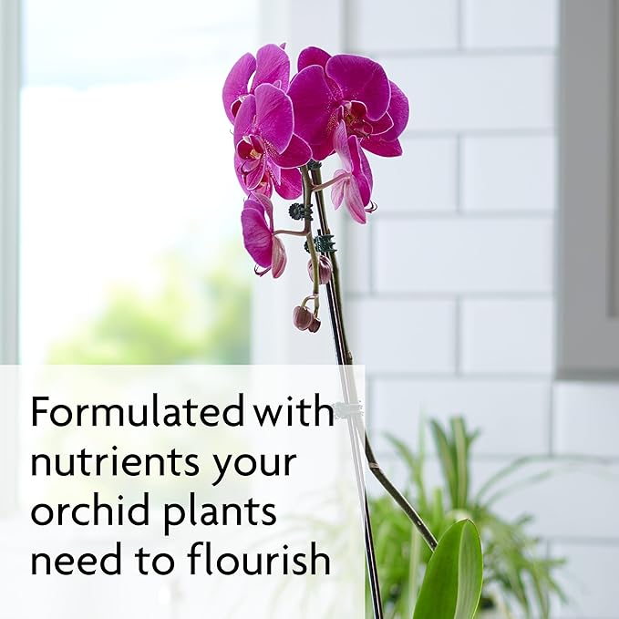 Miracle-Gro Ready-to-Use Orchid Plant Food Mist - Fertilizer Mist for Indoor Blooming Orchids - 8 fl. oz. (2 Pack)