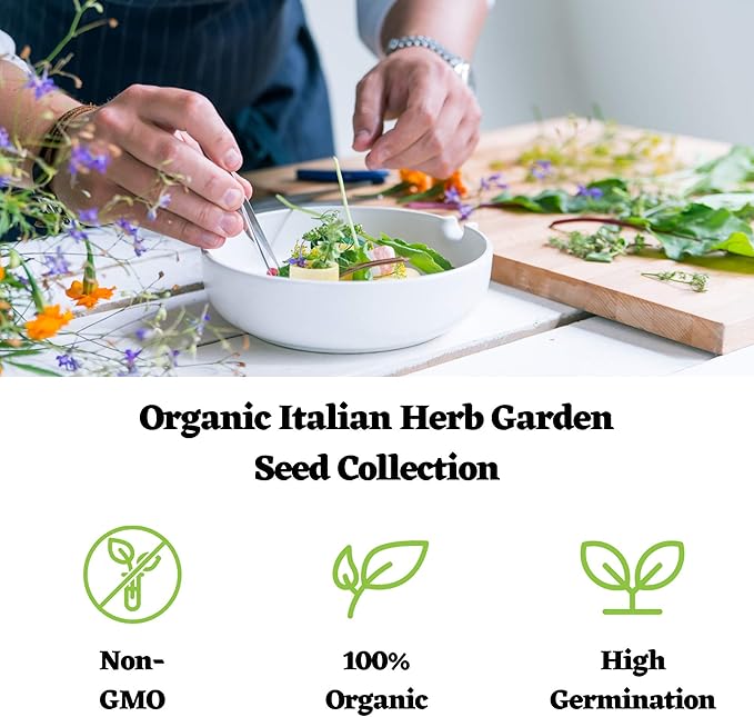Organic Italian Herb Garden Seed Collection - 5 Non-GMO, Organic Seed Packets - Oregano, Thyme, Basil, Sage, Cilantro - Kitchen Culinary Herb Gardening Seeds