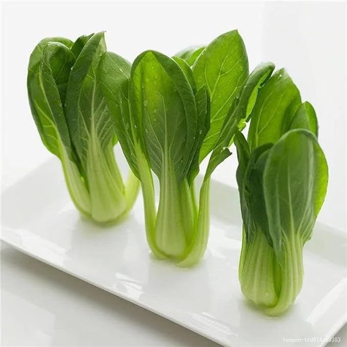 ZEshops All Year Round Organic Chinese Cabbage Seeds, 1000pcs, Non-GMO, High 95% Germination, Perfect for Every Season