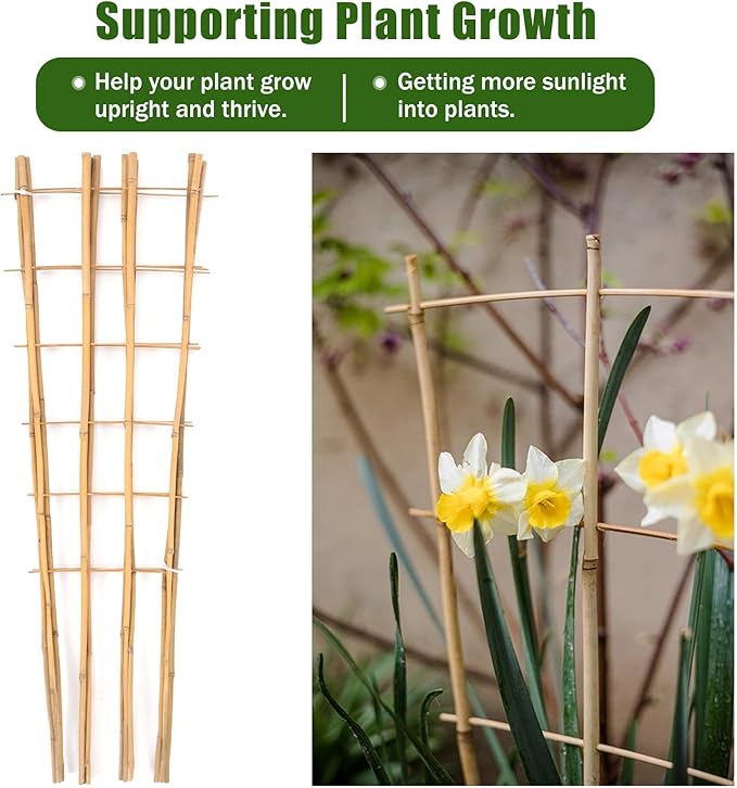 Bamboo Trellis,4Ft,3Pack,Climbing PlantsTrellis, Fan-Shaped Trellis,for Outdoor and Indoor Potted Climbing Plants,Vegetables, Cucumber, Tomato, Hoya