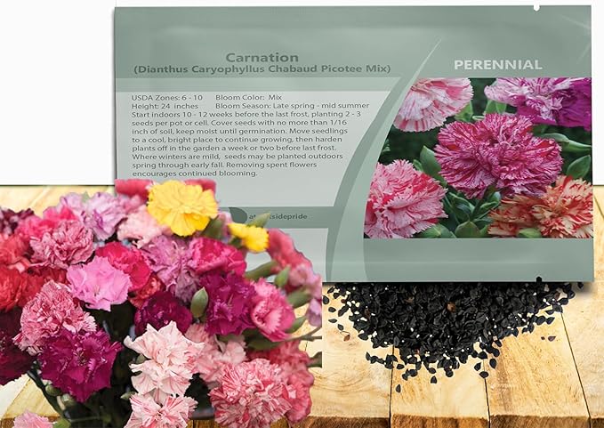Outsidepride Picotee Mix Carnation Seeds - 1000 Pcs Perennial, Easy to Grow Flower Seeds for Planting with Fragrant Blooms, Ideal for Pollinators, Cutting Gardens, Bouquets, & Floral Arrangements