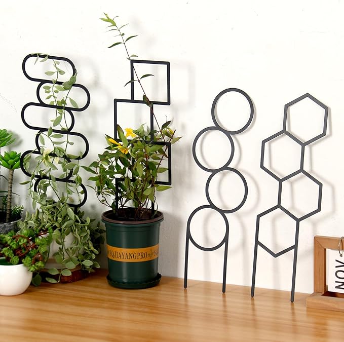4 Pcs Trellises for Climbing Plants Indoor Metal Climbing Plant Support Metal Plant Trellis for Pots Garden Trellis for Climbing Plants for Plant Lovers (Style 1)