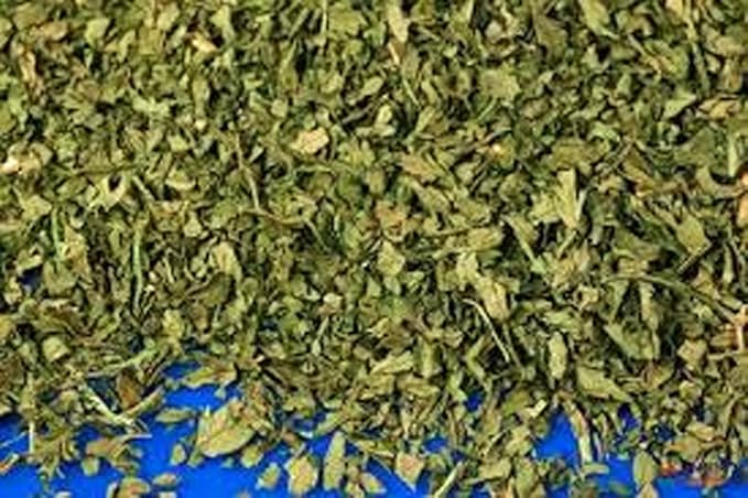 Chervil Seeds, Herb, 100+ Seeds Non GMO, Use The herb Fresh to Flavor vinaigrettes.