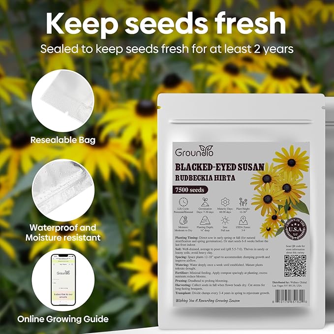 Black Eyed Susan Seeds, Perennial Rudbeckia Hirta Yellow Flower for Attract Pollinators, Non-GMO, Heirloom Wildflowers Seeds, USDA Zone 3-9, 2g