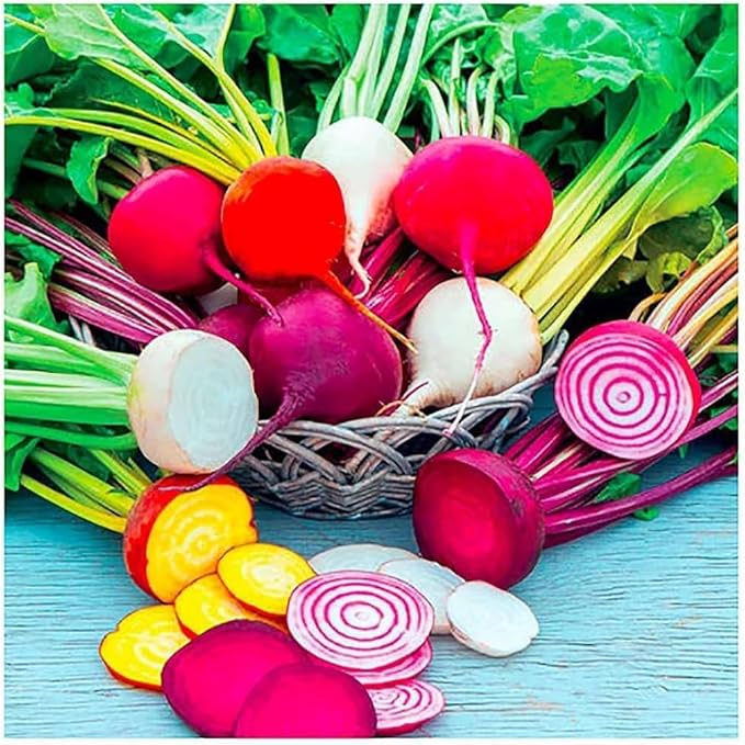 Rainbow Beet Seeds - Colorful Addition to Gardens and Cooking!