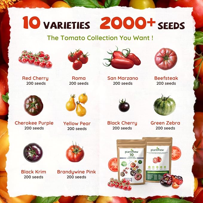10 Heirloom Tomato Seed Varieties Packet - Non-GMO, Open Pollinated Seeds for Planting Home Garden - Beefsteak, Roma, San Marzano, Cherokee Purple, Cherry Tomatoes & More