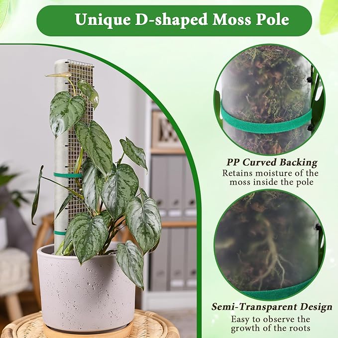 24"+40"+60" Metal Moss Pole - 6 Pack D Shape Sphagnum Moss Pole, Moss Poles for Climbing Plants, Monstera, Climbing Plants Indoor