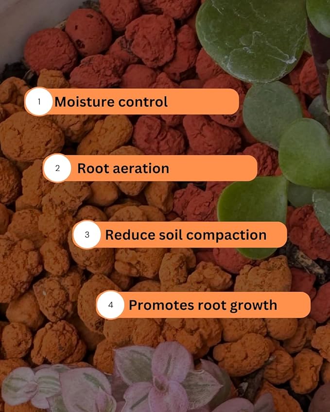Nature, Leca Clay Pebbles for Plants - Sustainable Expanded Clay Balls for Healthy Roots, Handmade in Colombia, Ideal for Hydroponics, Indoor Gardens, and Moisture Retention, 32 Oz (Orange)