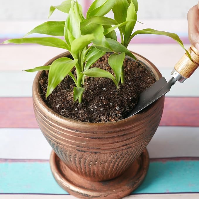 Premium Lucky Bamboo Soil Mix 2qt, Indoor Plants Potting Mix for All Potted Luncky Bamboo, Promote Healthy Growth and Longevity