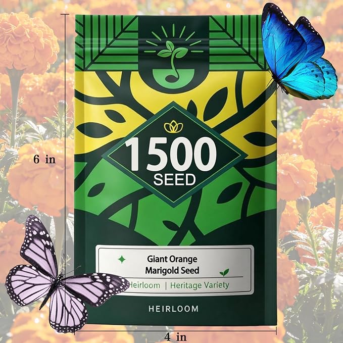 Orange Marigold Seeds for Planting, 1500 Flower Seeds, Pollinator-Friendly, Ideal for Balconies Window Boxes Garden Beds and Edging
