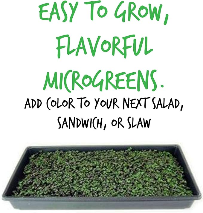 Red Acre Cabbage Microgreens & Sprouting Seeds – 4 Oz – Non-GMO, Chemical-Free – High-Germination Seeds for Nutritious Microgreens, Sprouts, Hydroponic Growing, and Indoor Gardening