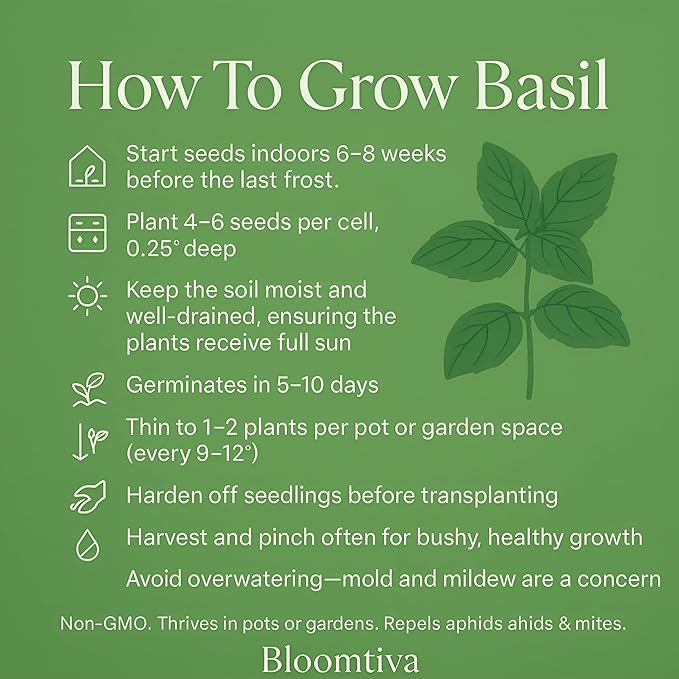 2000 Basil Seeds for Planting - Italian Large Leaf, Non-GMO and Heirloom Herbs Seeds for Planting, USA Grown Tulsi Basil, Great for Indoor or Outdoor Growing (Ocimum basilicum)