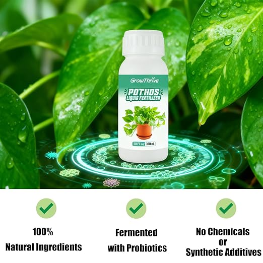 Organic Pothos Plant Food Liquid Fertilizer (10 oz) - Probiotic Nutrient Solution for Indoor Houseplants, Vibrant Leaves & Root Growth