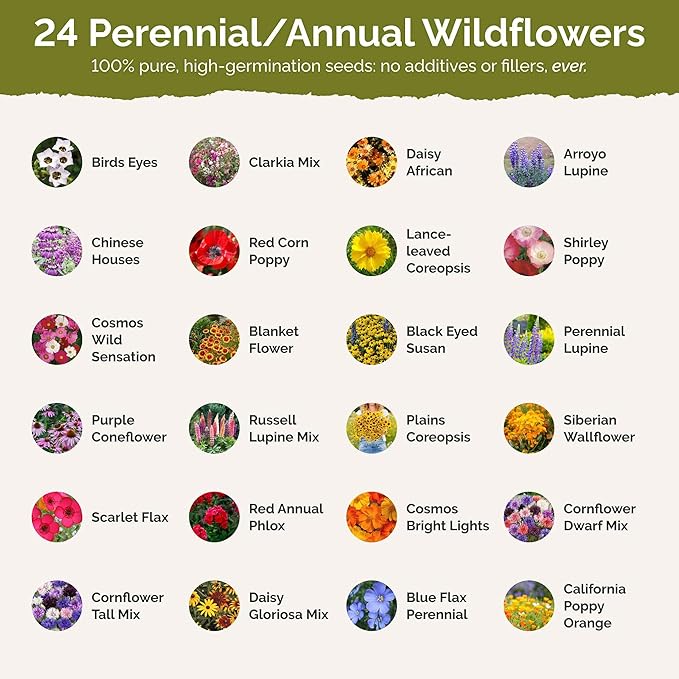 Eden Brothers Oklahoma Wildflower Mixed Seeds for Planting, 1/4 lb, 120,000+ Seeds with Lupine, WallFlower | Attracts Pollinators, Plant in Spring or Fall, Zones