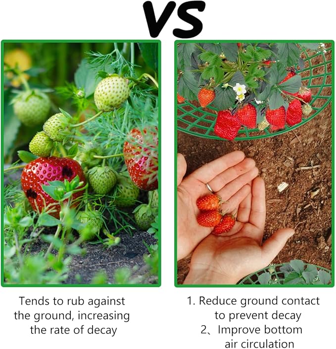 15 PCS Strawberry Supports,Strawberry Plant Support with Strawberry Logo Pattern,Strawberry Planting Rack with 3 Sturdy Support Feet to Prevent Strawberries From Rotting and Ensure Their Cleanliness.