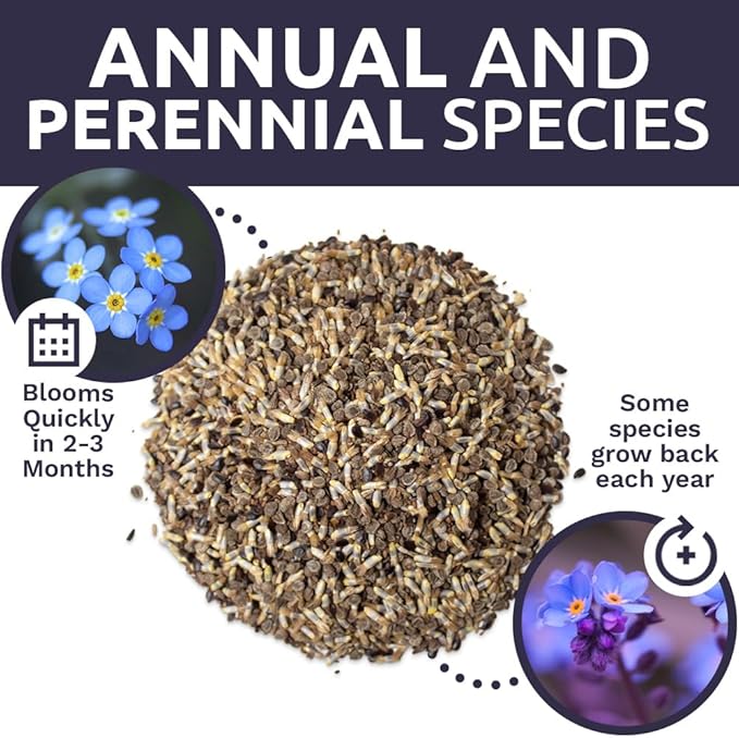 All Blues Wildflower Seeds - Bulk 1/4 Pound Bag - Over 30,000 PureAnnual and Perennial Flower Seeds