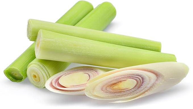 TKE Farms & Gardens - Lemongrass Seeds for Planting, Over 750 Non-GMO Seeds, Grow Indoors & Outdoors for Fresh Herbs Year Round, Easy-to-Grow Aromatic Herb for Cooking, Teas & Wellness