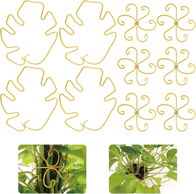 YBB 10Pcs Monstera Plant Stem Support, 2 Patterns Iron Monstera Stabilizer Plant Stem Holder Support Structures for Indoor Climbing Plants