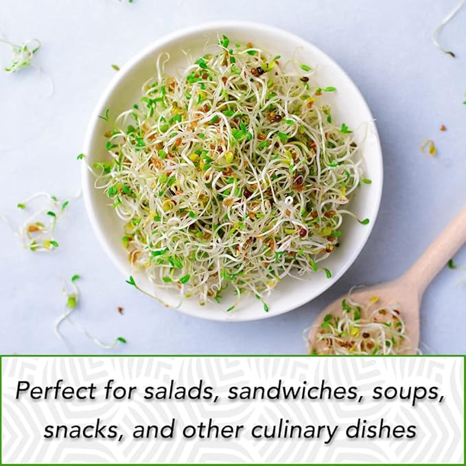 USDA Organic Alfalfa Sprouting Seeds | 1 Pound | Perfect for Sprouting & Microgreens, Premium Alfalfa Sprout Seeds, Non-GMO