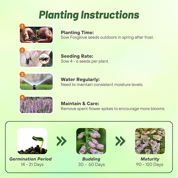 Outsidepride Digitalis Purpurea Camelot Lavender Foxglove Seeds – 50 Pcs Biennial, Prolific, Tall Growing Flower Seeds with Pollinator-Friendly Blooms for Shaded Gardens & Outdoor Landscapes