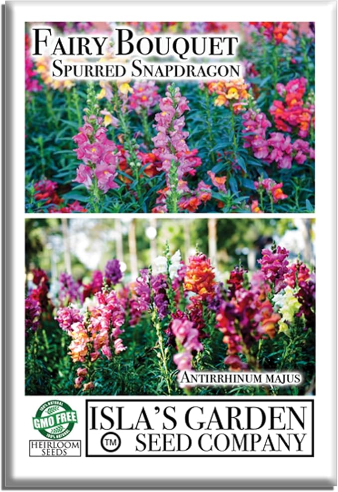 Fairy Bouquet Snapdragon Flower Seeds – 2000+ Non-GMO & Heirloom Seeds by Isla’s Garden Seeds, Spurred Variety with Whimsical Blooms, Ideal for Borders, Pollinator Gardens & Bouquets, Gardening Gift
