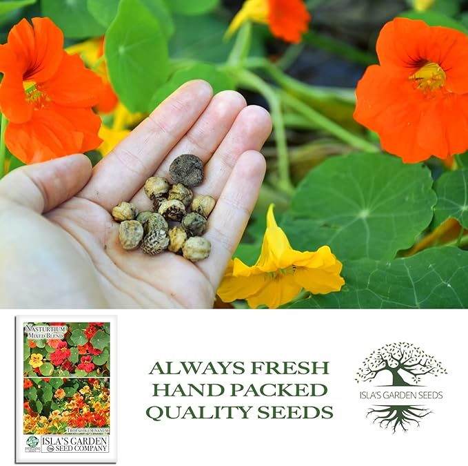 Nasturtium Mixed Blend Flower Seeds for Planting - 50+ Flower Seeds Per Packet, (Isla's Garden Seeds) Non-GMO & Heirloom, Botanical Name; Tropaeolum majus, Great Garden Gift