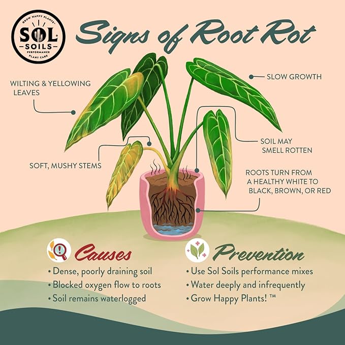 Sol Soils Horticultural Pumice - Lightweight, All-Natural Volcanic Rock Soil Amendment to Improve Drainage, Aeration & Maintain Moisture Balance – Filtered 3/8" to 1/4" - 1 Quart