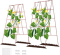 DOEWORKS Cucumber Trellis, 39" High Foldable A Frame Garden Trellis, 2 Pack, Plant Support for Climbing Cucumber, Beans, Tomatoes, Flowers, Red