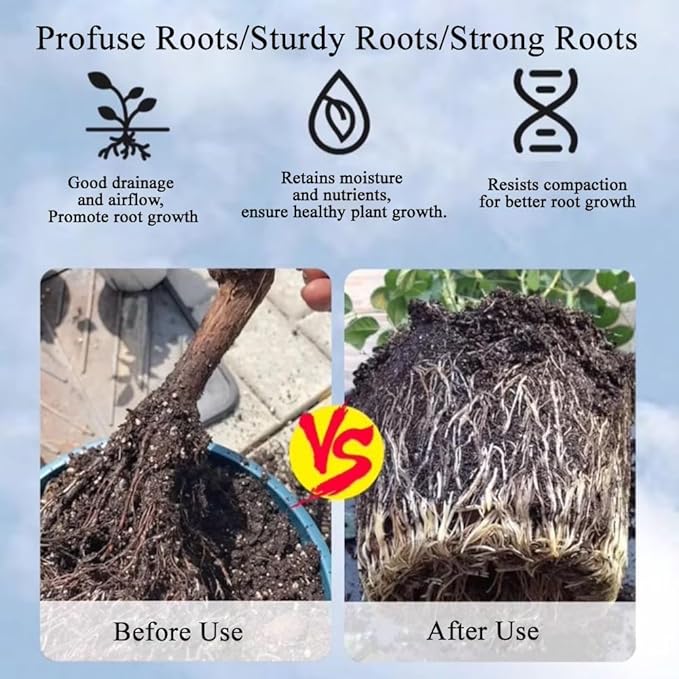 2lb Japanese Kanuma Soil 1-3mm Fine Grain for Acid-Loving Plants - Ideal for Bonsai, Azaleas, Hydrangeas & Blueberries,Succulent - Fast Drainage, PH Balanced (Natural, No Additives)