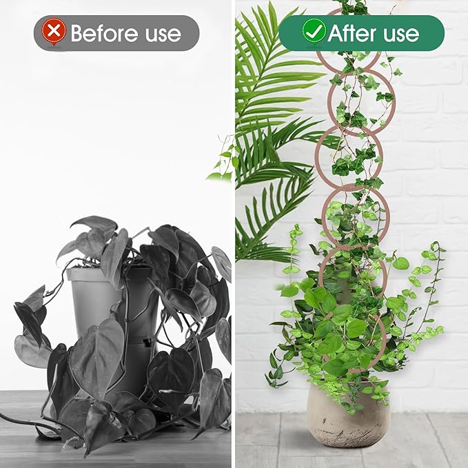 20pcs Round Chain Trellis for Climbing Plants Indoor, with 8pcs Self-Adhesive Hooks, HSSZXFR DIY Plant Climber Support for Vines and Garden Wall Trellis, for Monstera Pothos Ivy Flower