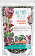 GARDENWISE Premium Organic Succulent Potting Mix – Well-Draining Indoor Plant Soil – Safe, Eco-Friendly, UV-Treated – Perfect for Succulents, Aloe, and Cacti – Handcrafted in The USA (5 Quarts)