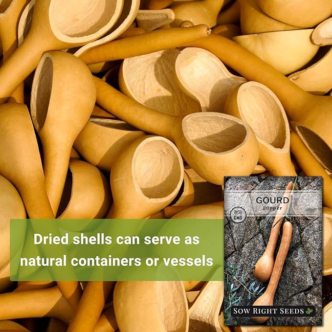 Sow Right Seeds - Dipper Gourd Seeds for Planting - Non-GMO Heirloom Packet with Instructions to Plant and Grow an Outdoor Home Vegetable Garden - Ornamental Craft Gourd - Rare & Unique (4)
