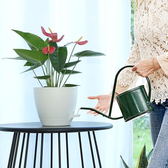 GARDIFE Self Watering Plant Pots with Drainage Holes,6 Pack 7 inch Plastic Flower Pots,Put On Indoor & Outdoor & Window Sill (7 inch|6 pcs, White)