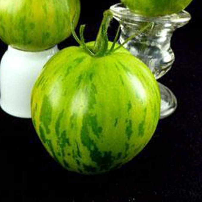 Green Zebra Tomato 0.25 Oz ~2,500 Seeds – Heirloom Salad Tomato – Non-GMO, Open-Pollinated, Indeterminate – Striped Green-Yellow Fruit – Heat-Tolerant, Late Blight Resistant