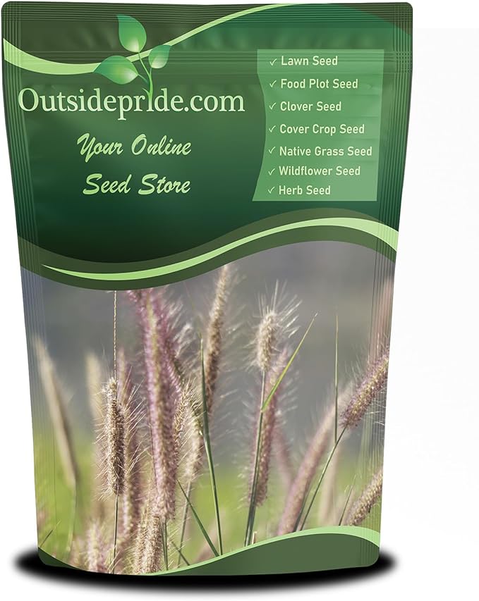 Outsidepride Perennial Northeast Native Grass Seed Mix - 25 lbs. Cold & Drought-Tolerant Warm & Cool Season Prairie Grass Seeds for Xeriscaping, Erosion Control, Wildlife Support, & Pollinator Habitat