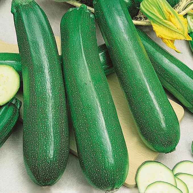 SeedsUP - 30+ Seeds Zucchini Sungreen - Vegetable Green
