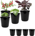 Kratky Method Hydroponic Planter Kit, 8 Hydroponic Planter Plus 24 Growing Sponges for Herbs, Hydroponic Mini Buckets for Windowsill Herb Garden, Hydroponic Growing System for Vegetables (Black)
