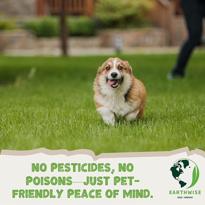 Earthwise PetLawn Seed Mix – 50 lb – Dog & Pet-Friendly Grass Seed – Fast-Growing, Durable Lawn – Covers 1/2 Acre