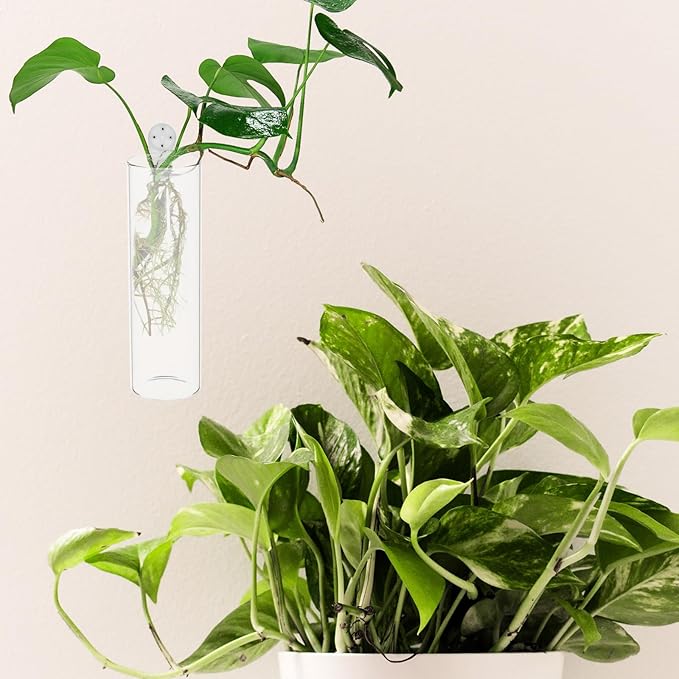 Milisten 2Pcs Wall Hanging Flower Vase Set 5.90X1.85X1.85In Clear Glass Test Tube Vases for Hydroponic Plants Decorative Wall Planter for Home Kitchen