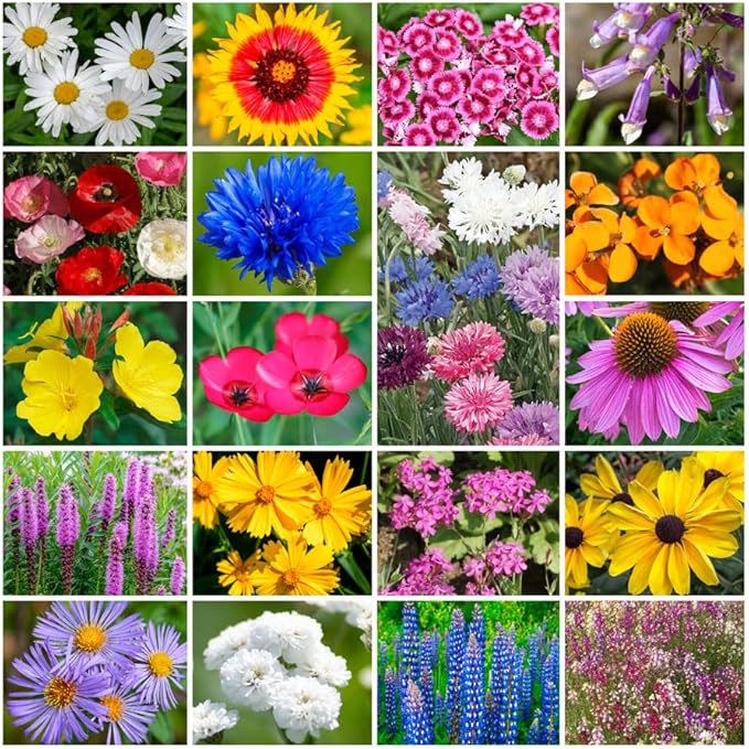 Grow Your Own Vibrant Annual and Perennial Wildflower Garden Seeds Mixture, Varieties for Pollinators and Spring Gardens - Northeast Regional Mix, 5 lbs