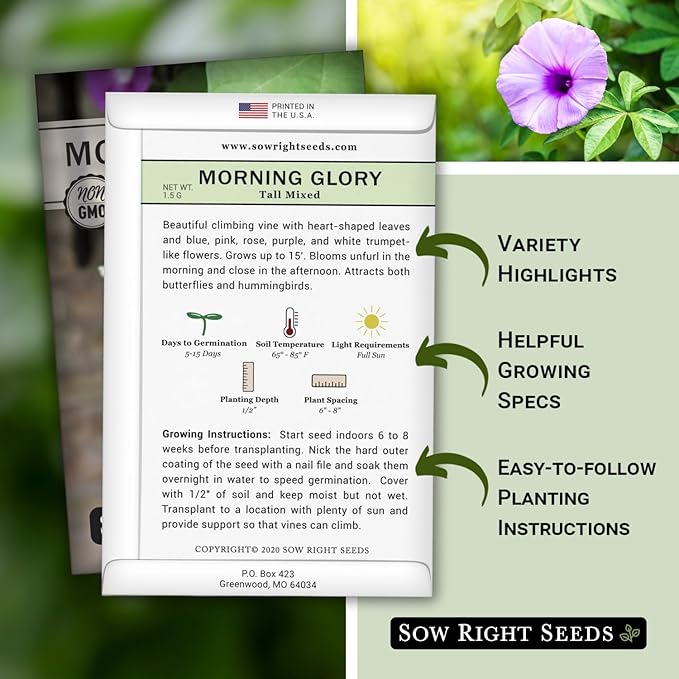 Sow Right Seeds - Tall Mixed Morning Glory Seeds for Planting - Non-GMO Heirloom Packet with Instructions to Grow - Perennial Vining Variety with Multi Color Blooms - Beautiful Trailing Decor (1)