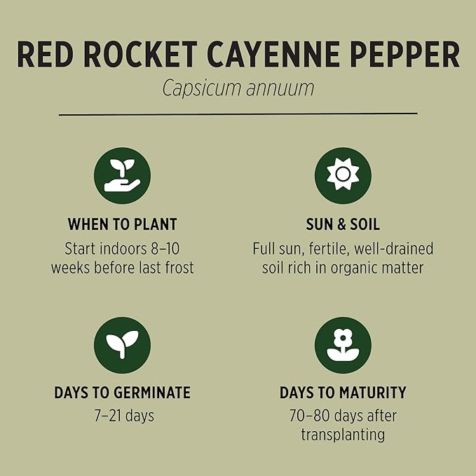 Banyan Botanicals Organic Cayenne Pepper Seeds – Long & Slim Red Rocket Cayenne Peppers – for Eating Fresh or Drying – 25 Count – Open Pollinated Non-GMO Easy-to-Grow