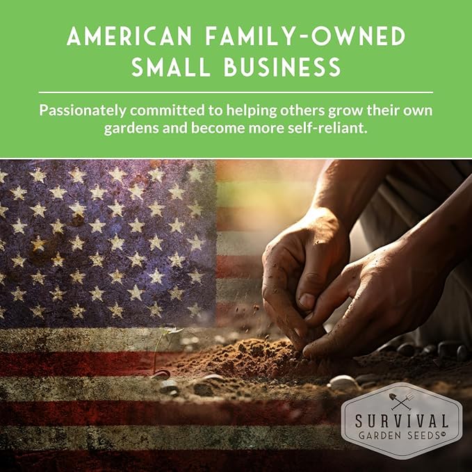 Victoria Rhubarb Seeds for Planting - Grow Cold-Tolerant Perennial Spring Vegetables/Fruit in Your Home Garden - Non-GMO Heirloom Variety - Survival Garden Seeds (2 Packs)