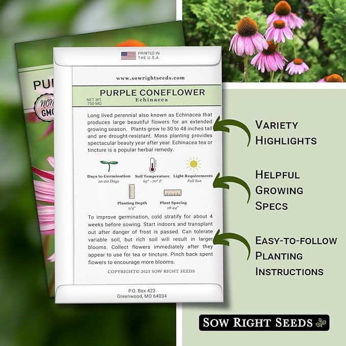 Sow Right Seeds - Purple Coneflower/Echinacea Flower Seeds for Planting - Non-GMO Heirloom - Plant for an Herbal Tea Garden - Attract Pollinators - Great Cut and Come Back Flower (2)