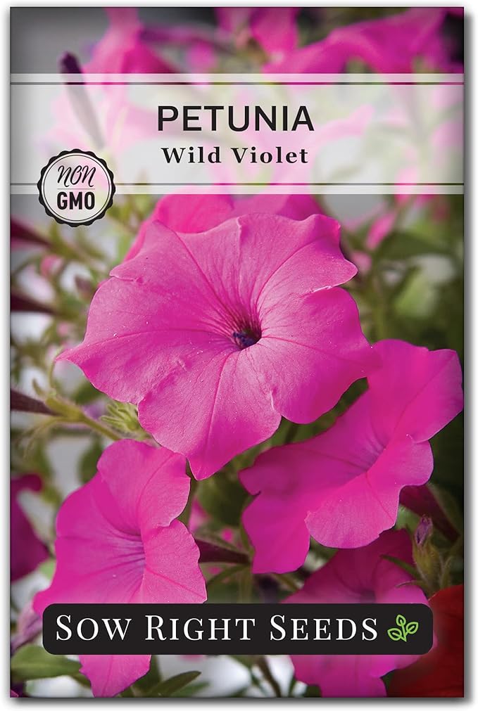 Sow Right Seeds - Petunia Wild Violet Flower Seed for Planting - Beautiful Flowers to Plant in Your Home Garden - Non-GMO Heirloom Seeds - Perfect for Outdoor Hanging Baskets - Great Gardening Gift