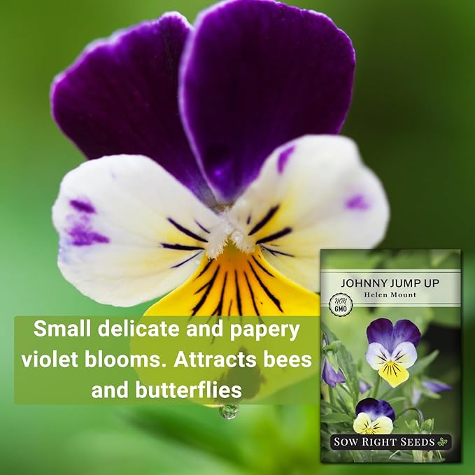 Sow Right Seeds - Violet, Johnny Jump-Up Flower Seed for Planting - Beautiful Flowers to Plant in Your Garden - Non-GMO Heirloom Seeds - Perfect for Spring Containers - Attract Pollinators (3)